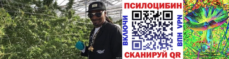 Псилоцибиновые грибы Magic Shrooms  Усть-Илимск 